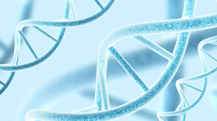 Trisomia chromosomu 13 - Zespół Patau